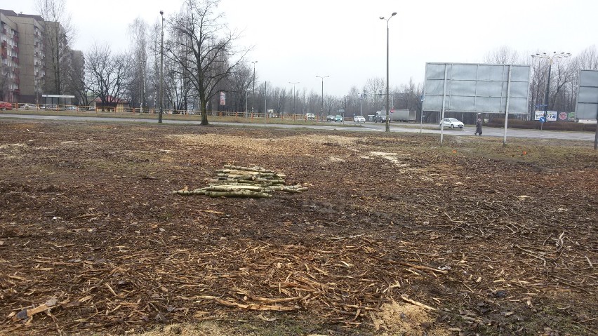 Nowy Lidl w Zagórzu: wycięto drzewa przy rondzie Jana Pawła II [ZDJĘCIA]
