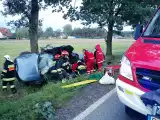 Jedna osoba ranna i zniszczone auto - to efekt wypadku w Smoszewie, na trasie Krotoszyn-Ostrów FOTY
