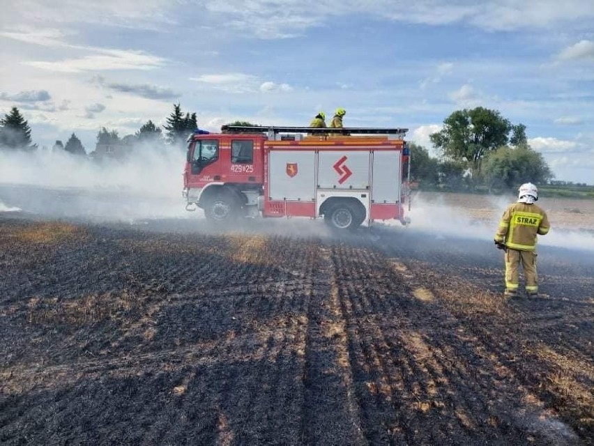 Strażacy i rolnicy walczyli z żywiołem w Grzybnie