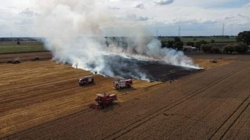 Strażacy i rolnicy walczyli z żywiołem w Grzybnie