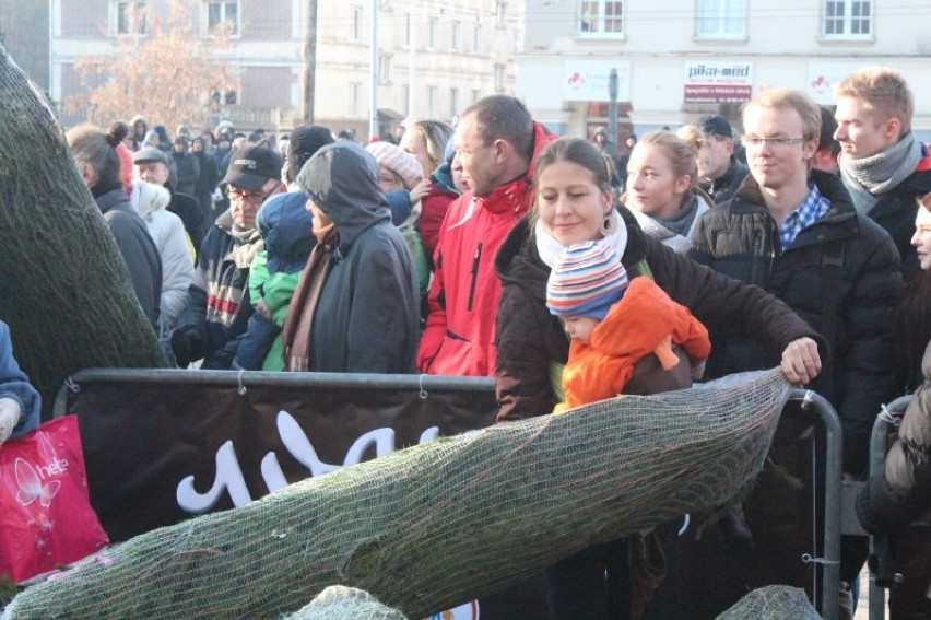 Pierwszy kolejkowicze pojawili się na Starym Rynku o godz. 1 w nocy.