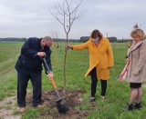 Lisków. Powstaje Park Miododajny z ulami i budkami dla owadów pożytecznych. 