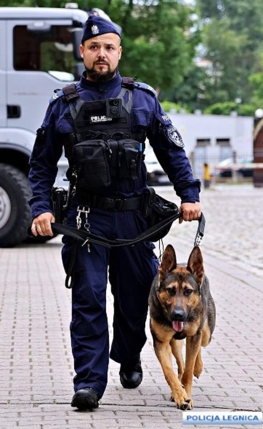 Pirs i Radler to nowe psy w legnickiej policji