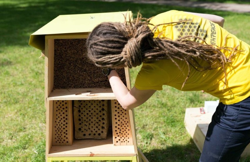 Oprócz Parku Andersa, dzikie pszczoły będą mogły zamieszkać...