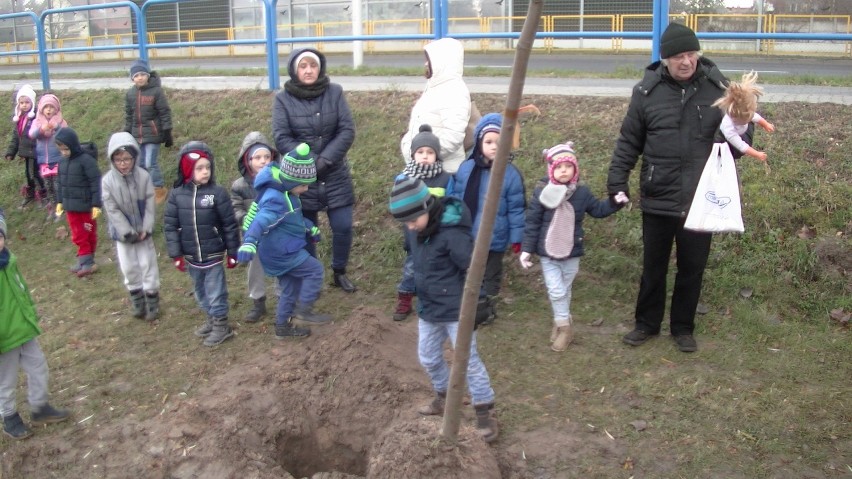 Park Przyjaźni w Kaliszu. Posadzono 50 drzew