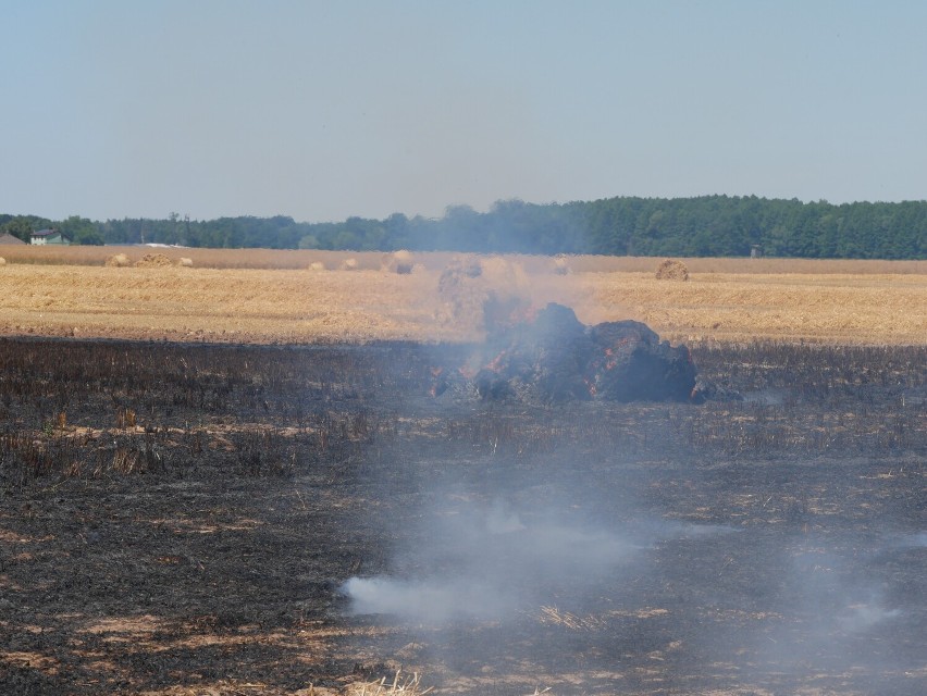 Pożar pola w Grąblewie. Spłonął hektar ścierniska i 5 balotów słomy