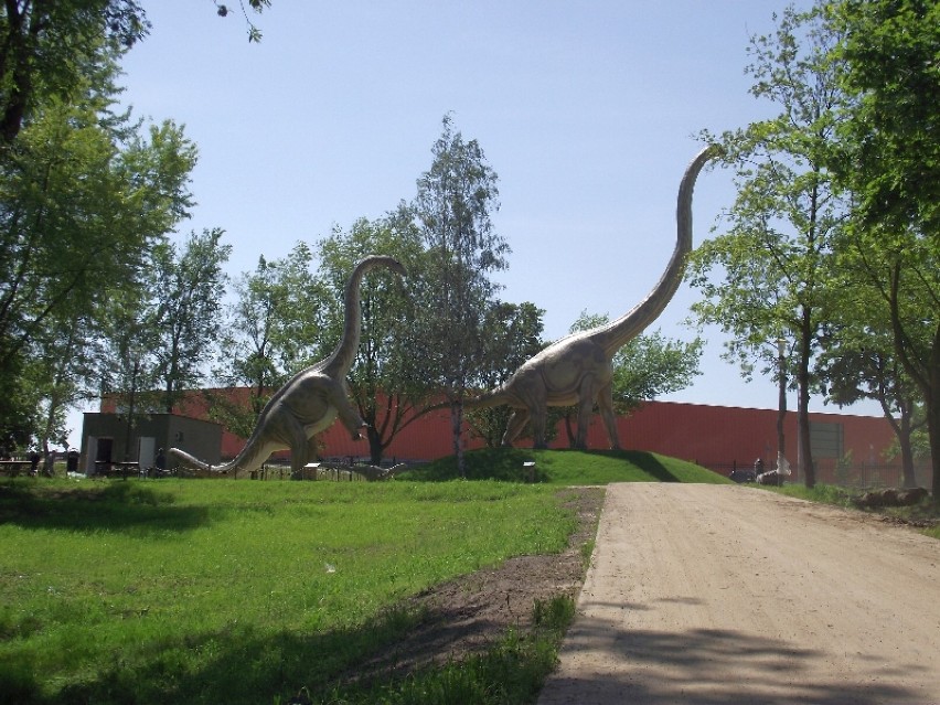 Park Wrocławski Lubin - w wolierach jest już 19 ptaków