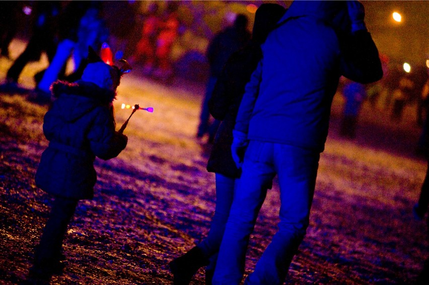 Sylwester 2014 Stadion Narodowy, zdjęcia. Tak bawiliście się...