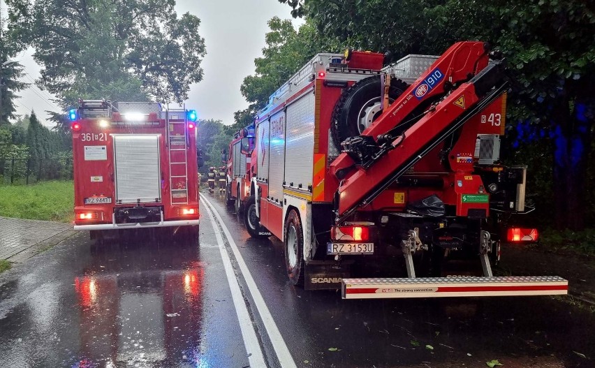 Gwałtowna burza nad Przemyślem. Na jadący samochód spadło drzewo [ZDJĘCIA]