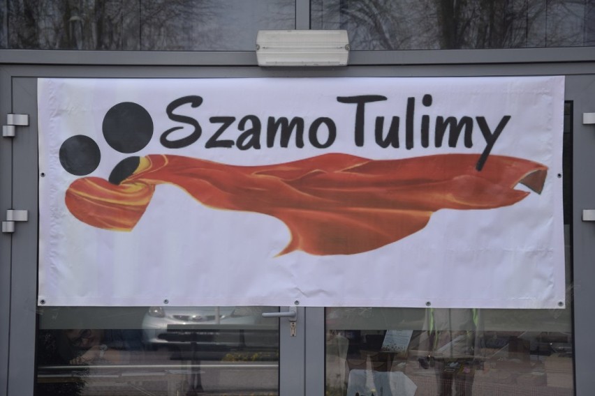 SzamoTulimy 2019