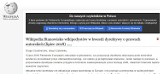 Nie działa Wikipedia. Co się stało? Nowe przepisy to zagrożenie dla przestrzeni Internetu