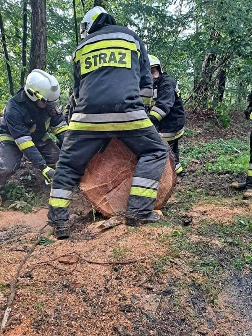 Strażacy usuwają skutki nawałnicy nad powiatem bełchatowskim