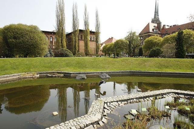 Wrocławski ogród botaniczny