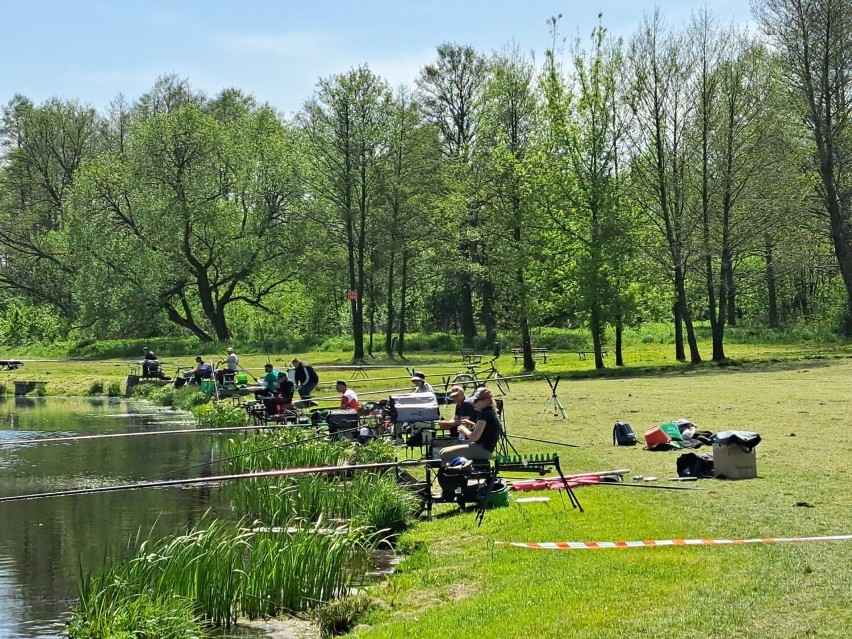 Koneckie błonia – Browary to ulubione miejsce wędkarzy,...