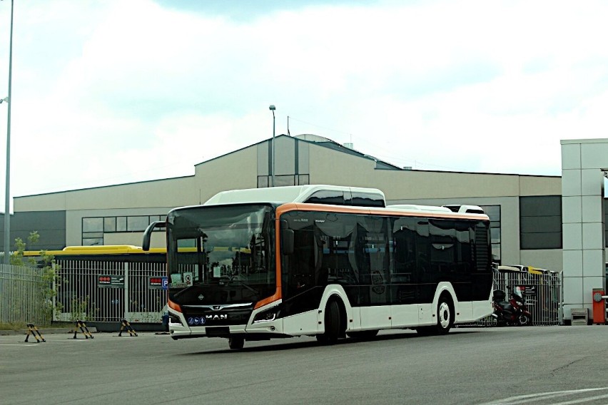 MAN testuje w Starachowicach autobusy dla Ostrowca Świętokrzyskiego i innych miast. Zobaczcie na zdjęciach jak się prezentują