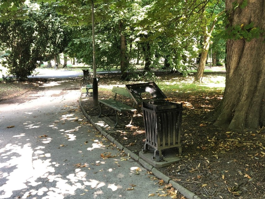 Park przy ulicy Dąbrowskiego w Rzeszowie zostanie zrewitalizowany. Prace ruszą w tym miesiącu [ZDJĘCIA]