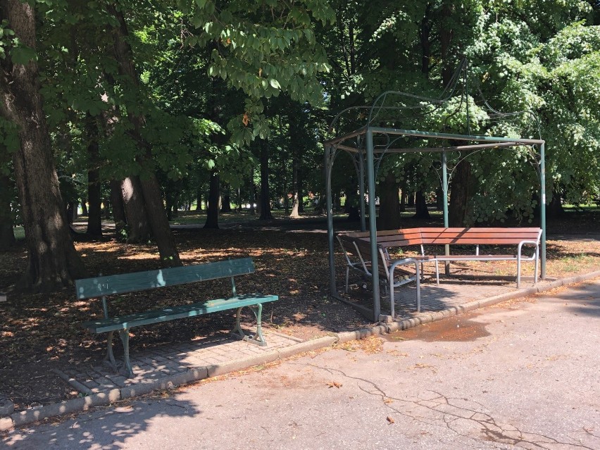 Park przy ulicy Dąbrowskiego w Rzeszowie zostanie zrewitalizowany. Prace ruszą w tym miesiącu [ZDJĘCIA]