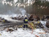 Pożar w Piaskach spowodował jeden z pracowników [ZDJĘCIA]