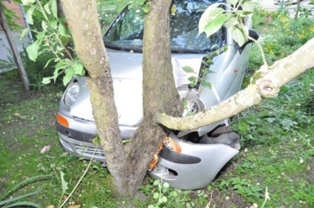 Wypadek w Witorożu: Pijany kierowca potrącił pieszego i wjechał do ogródka