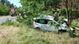 Wypadek pod Krosnem Odrzańskim! Ford zjechał do rowu koło Osiecznicy. Kierowca zasłabł