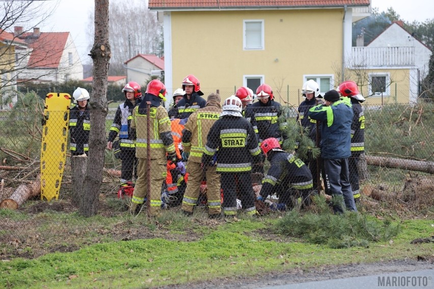 Do zdarzenia doszło dzisiaj  tuż przed południem. Mężczyzna...