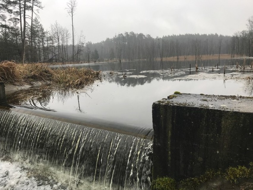 Majówka ze  Złotowskim Korpusem Ekspedycyjnym - Orienteering