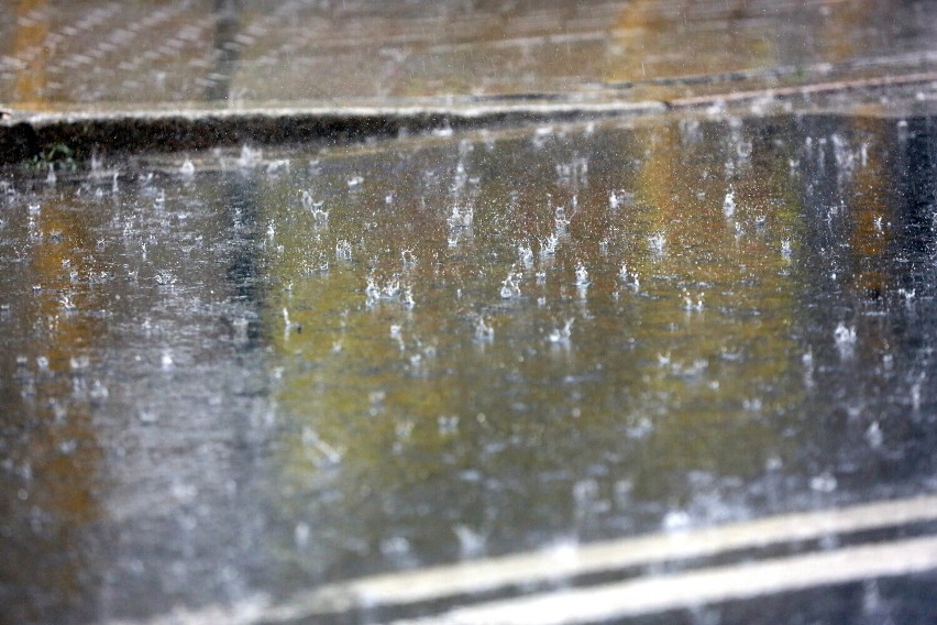 Synoptycy prognozują opady deszczu o natężeniu umiarkowanym,...