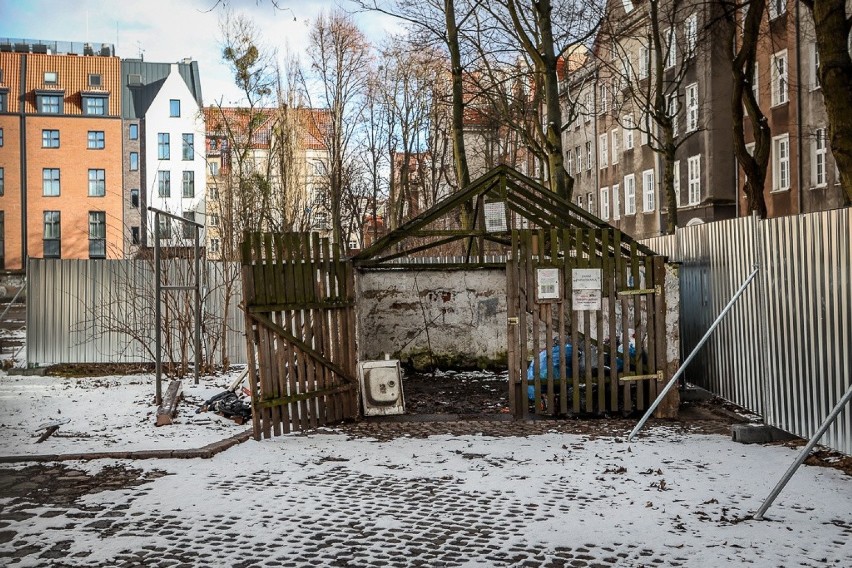 Wycięte drzewa przy Długim Targu w Gdańsku. W planach budowa kompleksu hotelowego