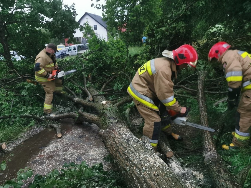 Kościerzyna. Burza i ulewa w powiecie kościerskim [1.07.2022]. Powalone drzewa, zalane piwnice. Miejscowości odcięte od prądu [GALERIA]