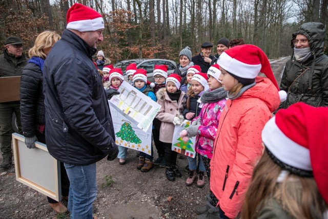 Przed Kujawsko-Pomorskim Urzędem Marszałkowskim ustawiony zostanie świerk z Raciniewa w powiecie chełmińskim. Marszałek województwa Piotr Całbecki osobiście go dziś wybrał