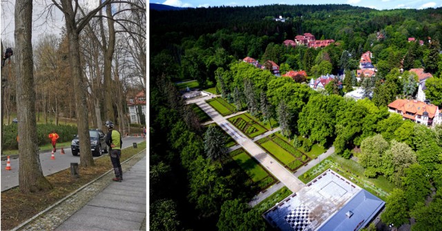 Park Zdrojowy w Polanicy-Zdroju częściowo zamknięty. Trwają prace rewitalizacyjne