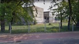 Września w Google Street View:  tereny Tonsilu [FOTO]