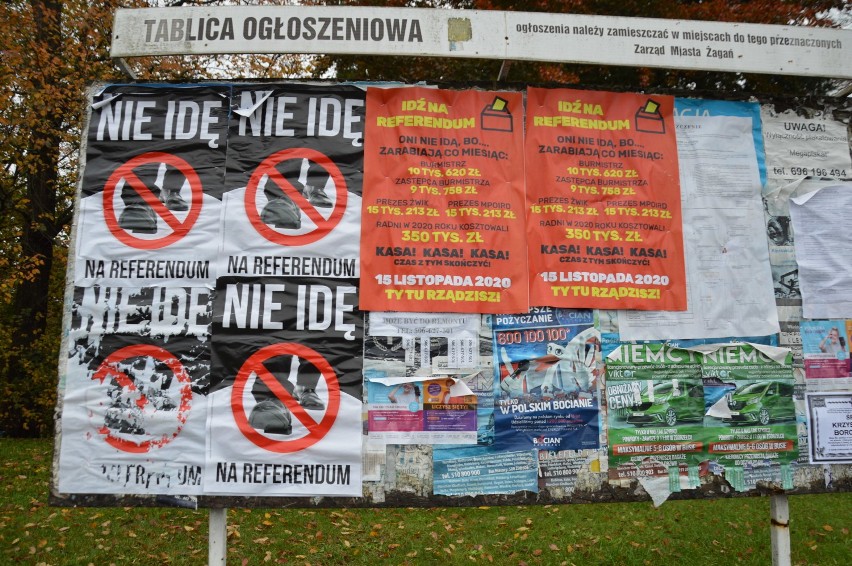 Referendum w Żaganiu zostało zawieszone bezterminowo