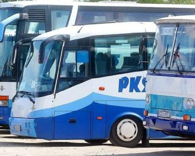 Czy transport zbiorowy w powiecie lipnowskim zastąpi popularne PKS?