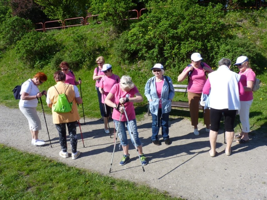 IV Marsz Nordic Walking Studentów UTW Radomsko 2016