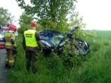 Wypadek w Staniewicach. Pijany kierowca skody uderzył w drzewo [ZDJĘCIA]