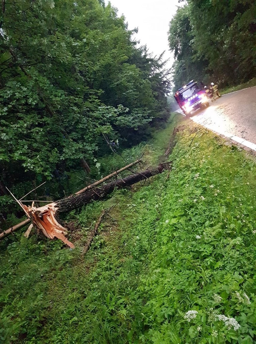 Podhale. Powalone drzewa, uszkodzone dachy. To była bardzo niespokojna noc pod Tatrami 