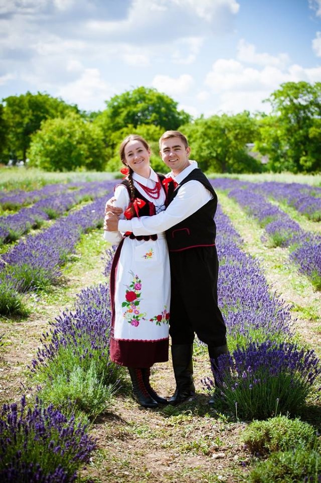 Siedliszcze. Lawendowe pole przyciąga artystów

W Siedliszczu jest takie miejsce, które przyciąga artystów jak magnes. W bajkowej scenerii grupy fotografów robią sesje zdjęciowe, a zespoły muzyczne nagrywają teledyski. Motywem przewodnim jest tu lawenda.