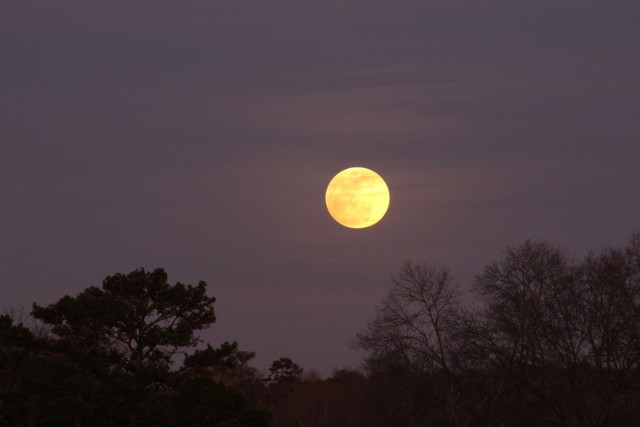 Pełnia Księżyca październik 2018. W środę, 24 października, wypada pełnia Księżyca. Niezwykły Księżyc w pełni będziemy mogli oglądać w nocy, jednak również w środę po zmroku Srebrny Glob wyglądać będzie spektakularnie.