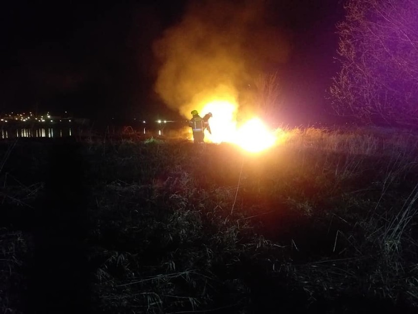 Pożar trawy w Lisewie Malborskim