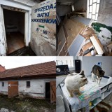Koci Azyl w Koszalinie: Zaczynamy zbiórkę. Zobacz jak wygląda budynek 