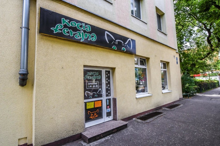 Kawiarnia Kocia Ferajna w Bydgoszczy świętuje 2. urodziny [zdjęcia]