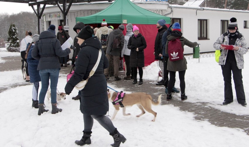 V Rudnicki Dogtrekking dla 31 finału WOŚP w Grudziądzu