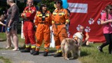 "Merdająca Jura" - zlot dla miłośników zwierząt nad Zalewem Mitręga w Łazach za nami. Zobaczcie, co tam się działo [WIDEO]