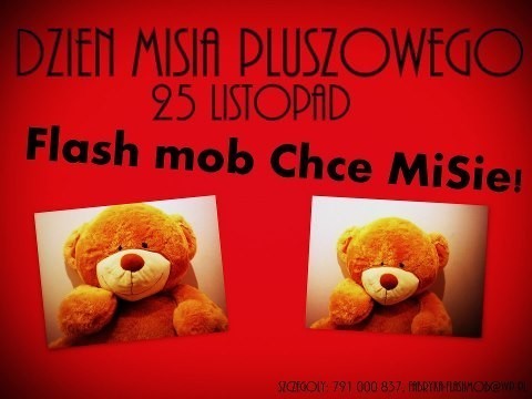 flash mob chce MiSie