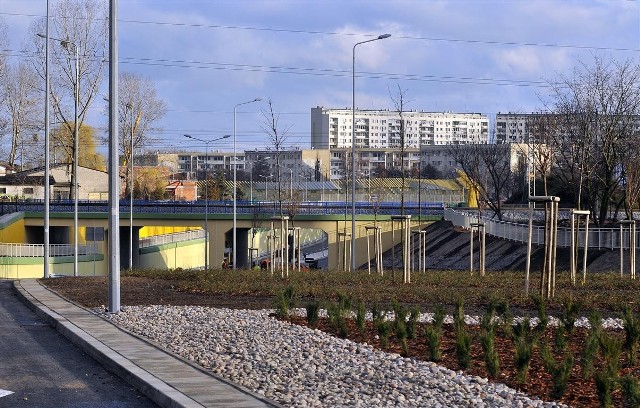 800-metrowy fragment Drogi Zielonej na Żabiance buduje polsko - hiszpańskie konsorcjum