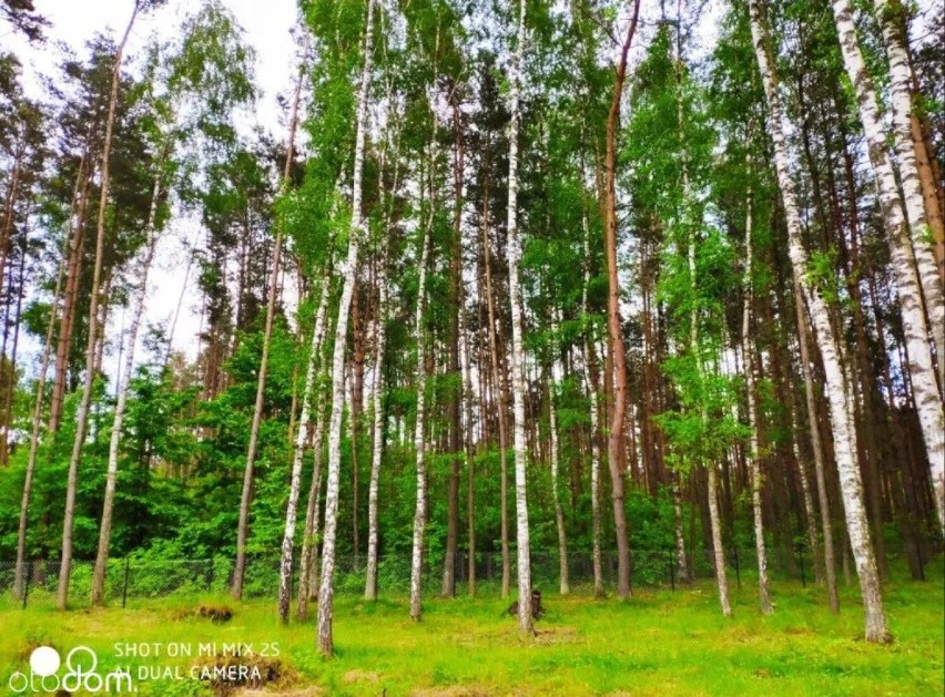 Powierzchnia działki: 2100 m2
Typ działki:...