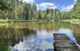 To nie Kanada a las niedaleko Głogowa. Piękne widoki u podnóża wzgórz Dalkowskich