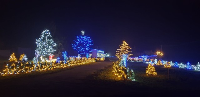 Świąteczna iluminacja w Maksymowie