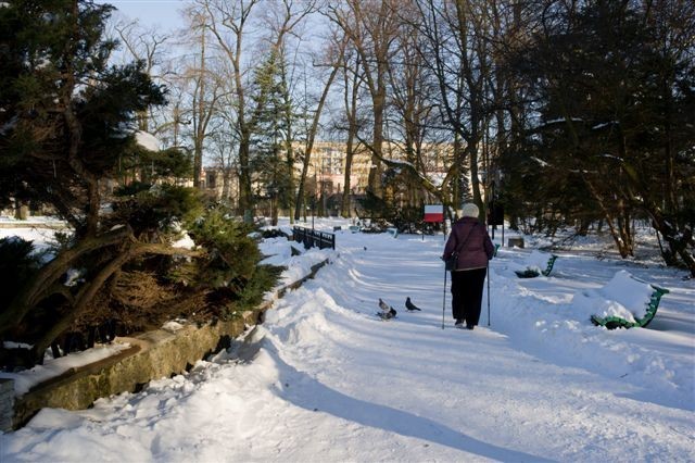 Zimowa niedziela w Parku Strzeleckim w Tarnowie [ZDJĘCIA]